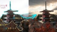 大象传媒激活码-解锁创意边界，大象传媒激活码的多元应用与价值探索